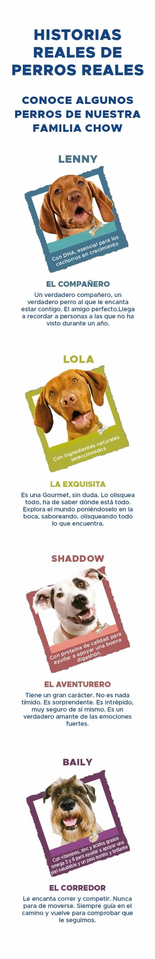 Historias reales de perros PURINA® DOG CHOW®