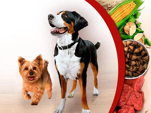 smph purina one